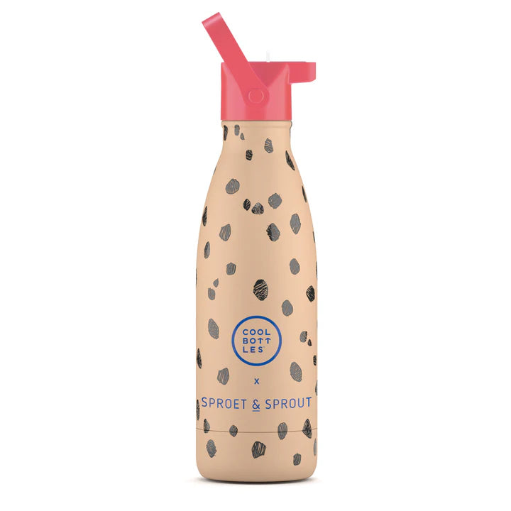 בקבוק CHOCOLATE CHIPS